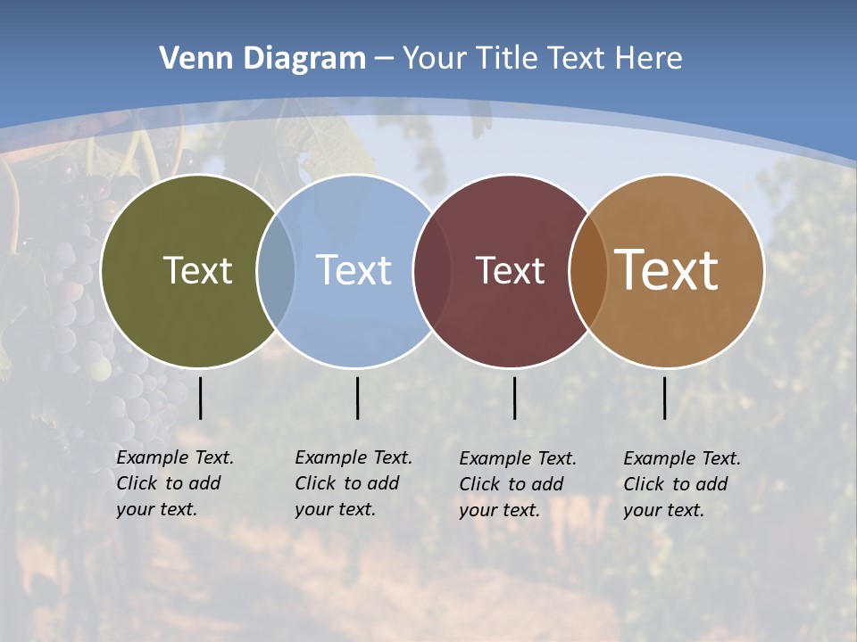 Leg Woman Female PowerPoint Template