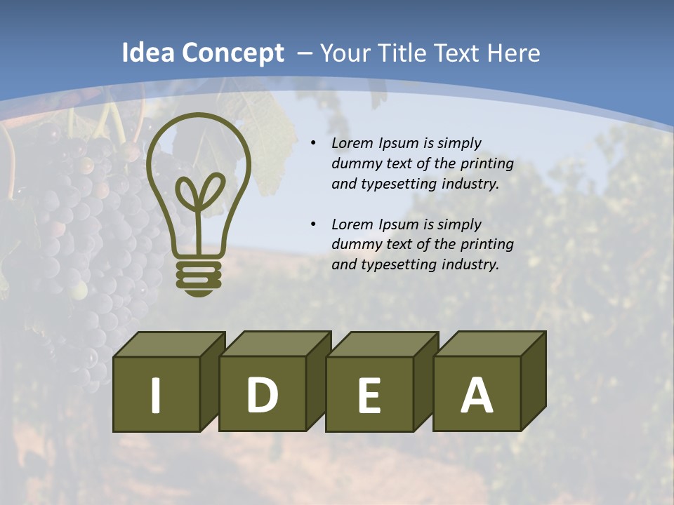 Leg Woman Female PowerPoint Template