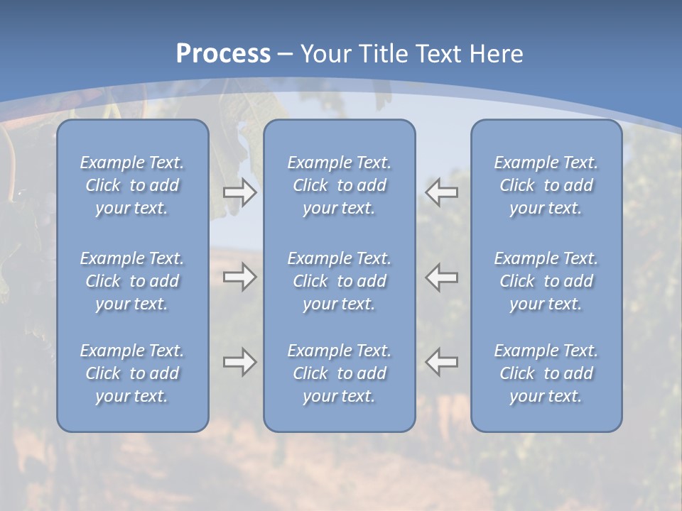 Leg Woman Female PowerPoint Template