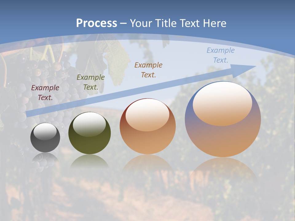 Leg Woman Female PowerPoint Template