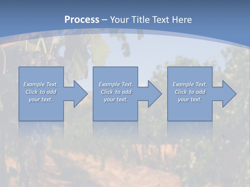 Leg Woman Female PowerPoint Template