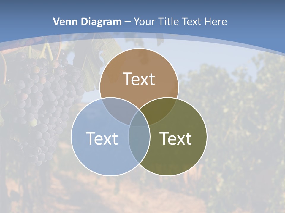 Leg Woman Female PowerPoint Template