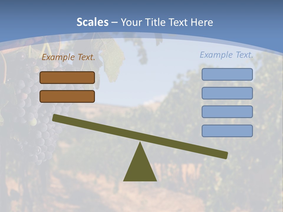 Leg Woman Female PowerPoint Template