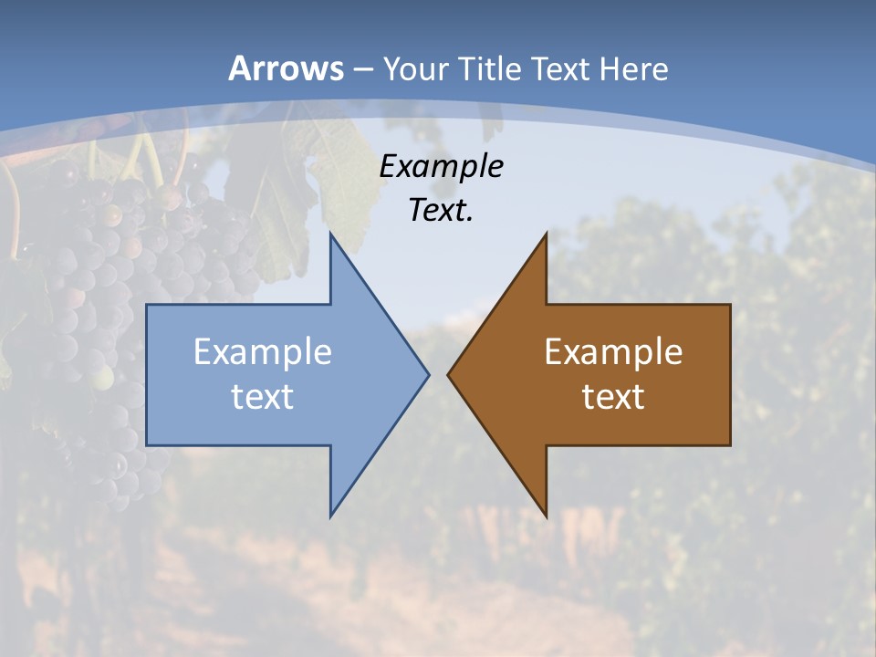 Leg Woman Female PowerPoint Template