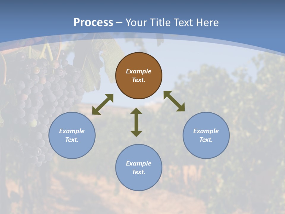 Leg Woman Female PowerPoint Template