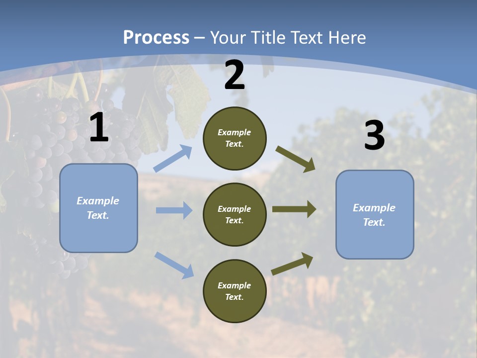 Leg Woman Female PowerPoint Template