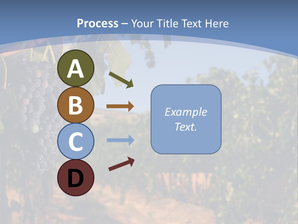 Leg Woman Female PowerPoint Template