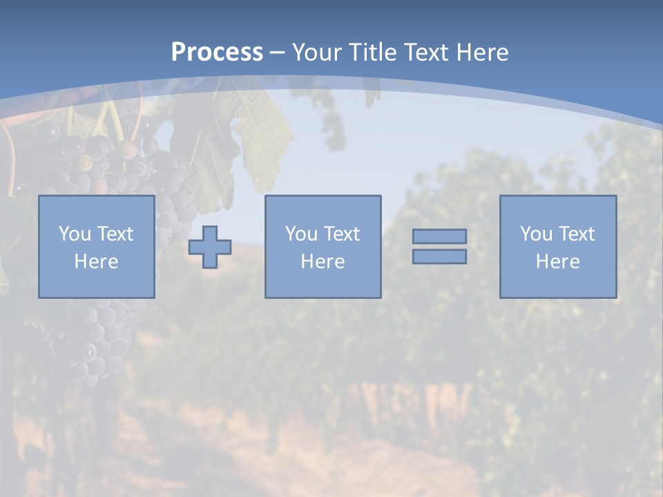 Leg Woman Female PowerPoint Template