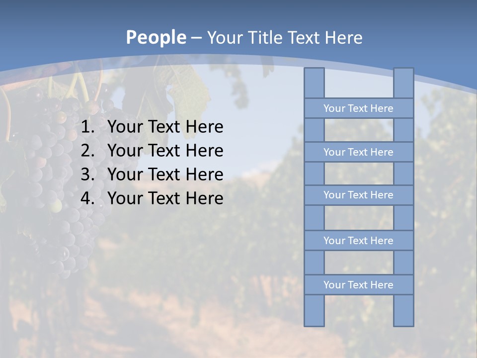 Leg Woman Female PowerPoint Template