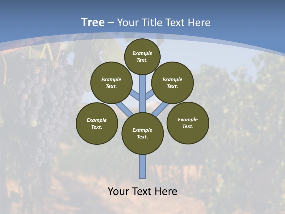 Leg Woman Female PowerPoint Template