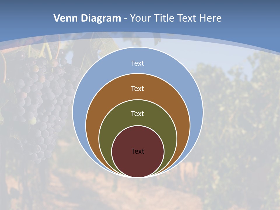 Leg Woman Female PowerPoint Template