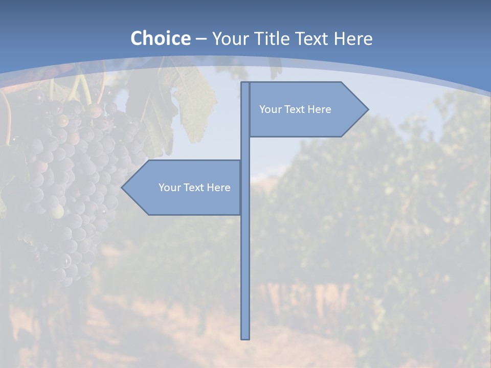 Leg Woman Female PowerPoint Template