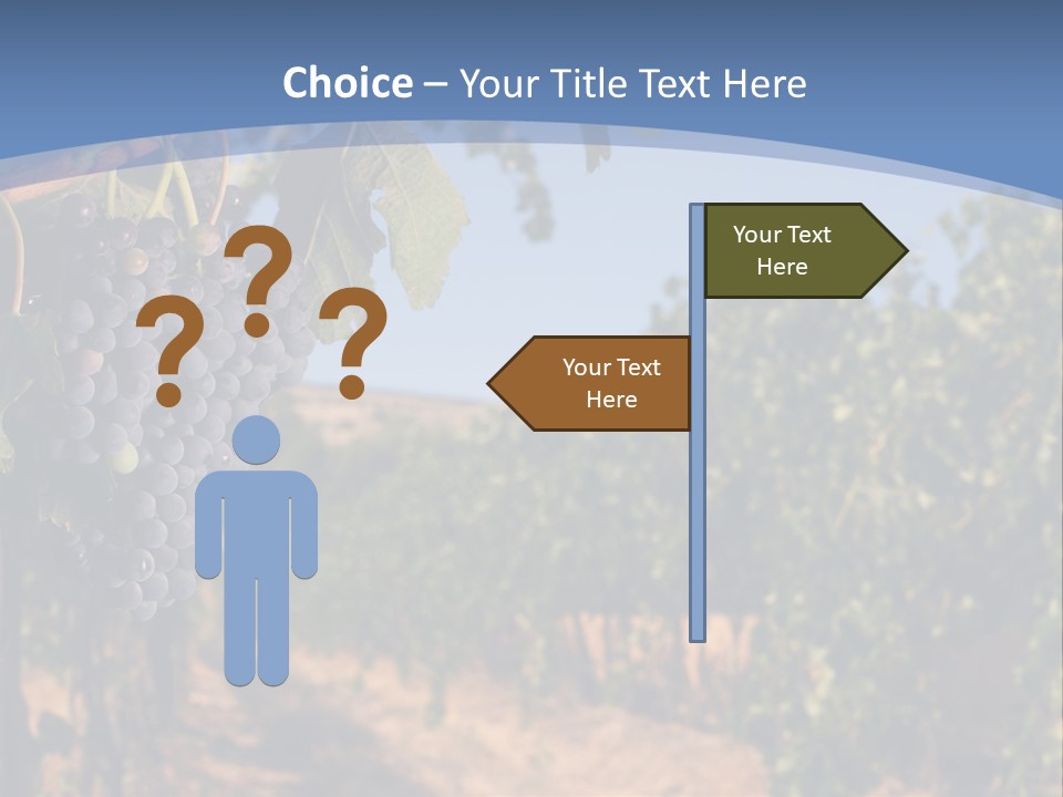 Leg Woman Female PowerPoint Template