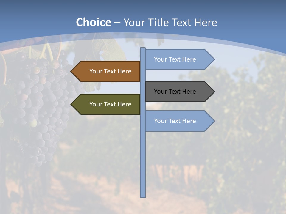 Leg Woman Female PowerPoint Template