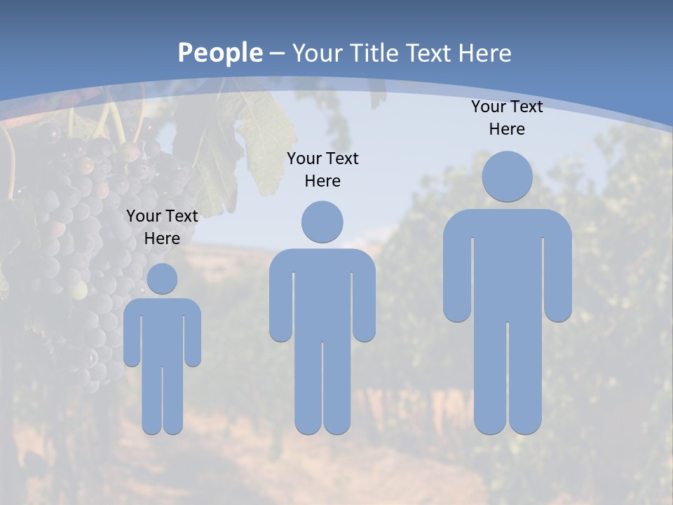 Leg Woman Female PowerPoint Template