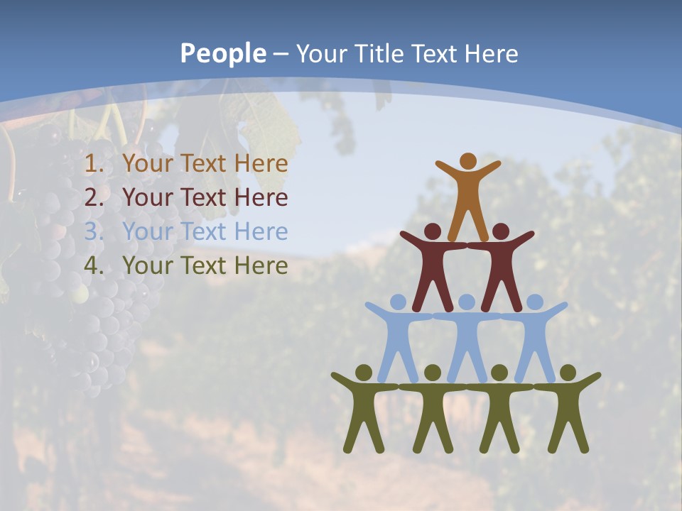 Leg Woman Female PowerPoint Template