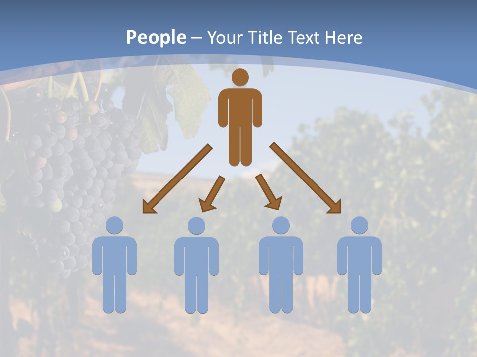 Leg Woman Female PowerPoint Template