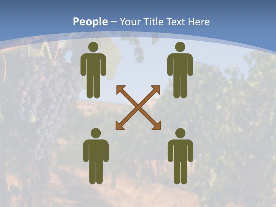 Leg Woman Female PowerPoint Template