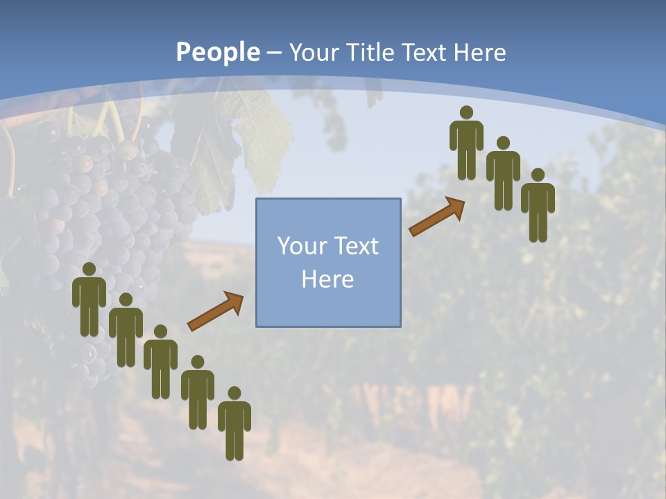 Leg Woman Female PowerPoint Template