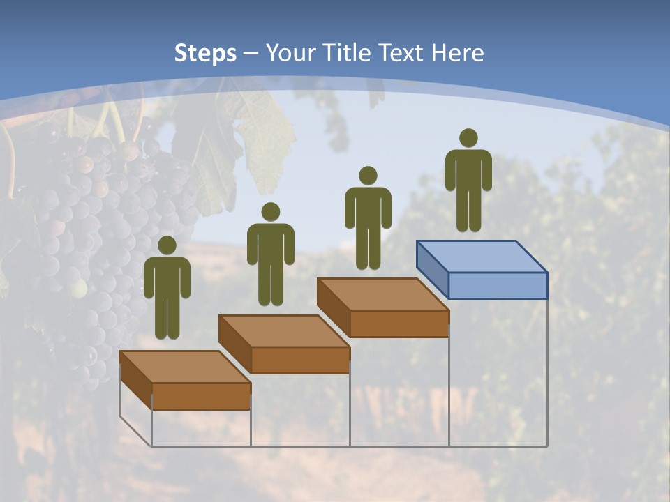 Leg Woman Female PowerPoint Template