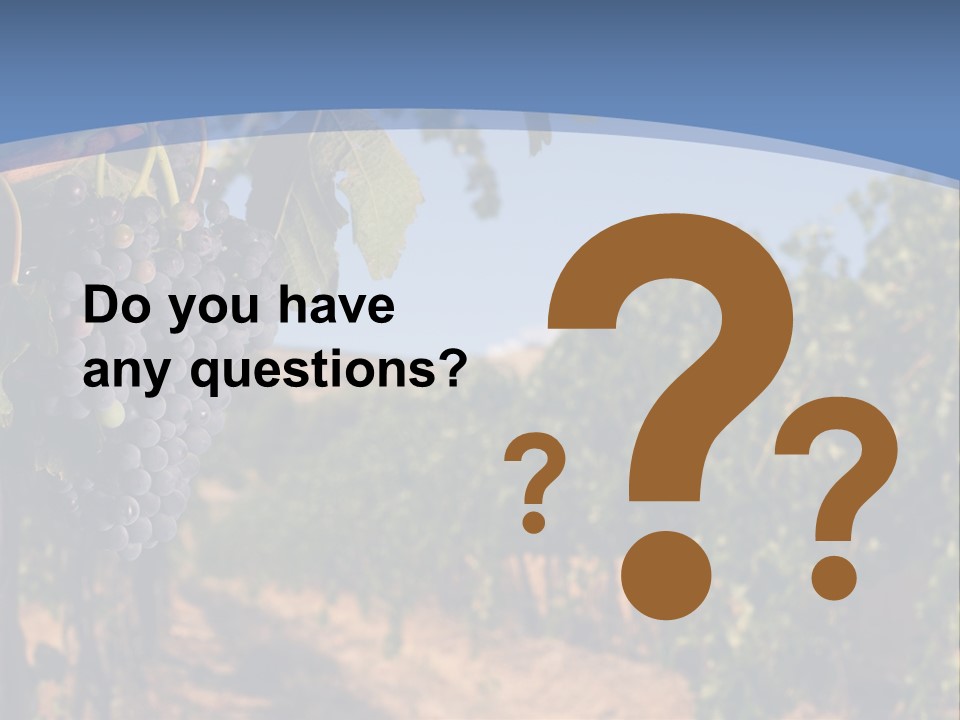 Leg Woman Female PowerPoint Template