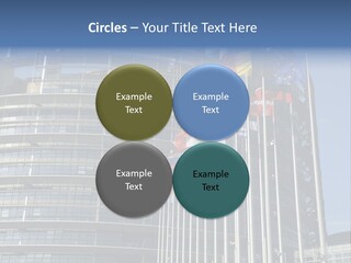 Council Of Europe European Parliament Organ PowerPoint Template