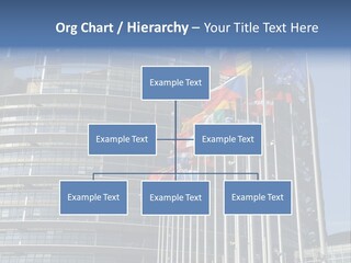 Council Of Europe European Parliament Organ PowerPoint Template