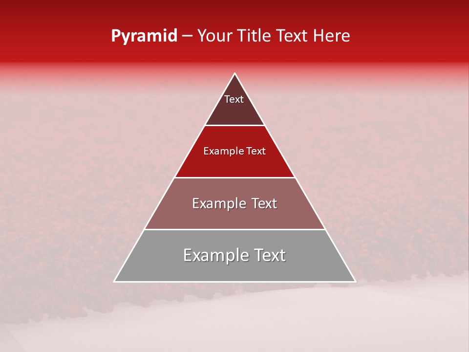 A Red Carpet With A White Background PowerPoint Template