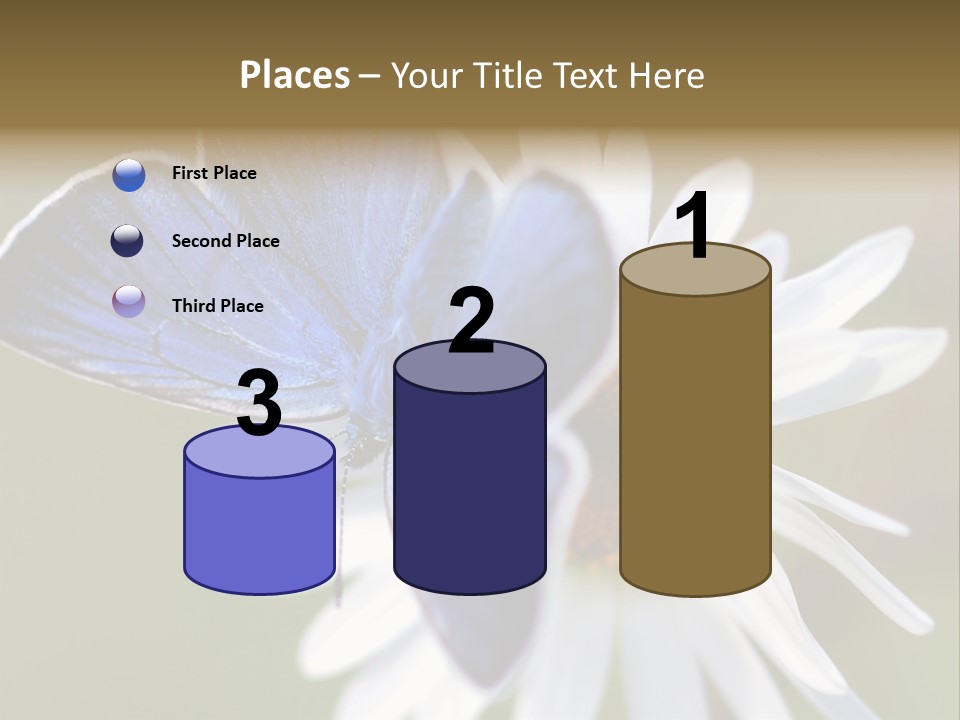 Closeup Botany Rain PowerPoint Template