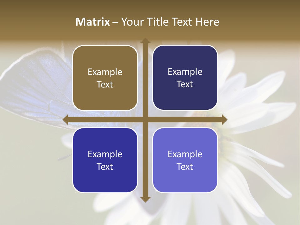 Closeup Botany Rain PowerPoint Template