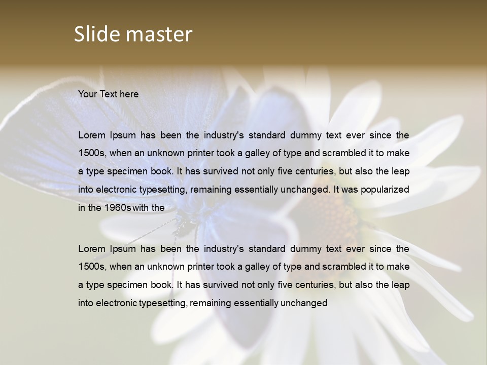 Closeup Botany Rain PowerPoint Template