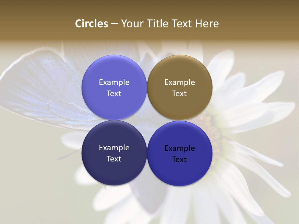 Closeup Botany Rain PowerPoint Template