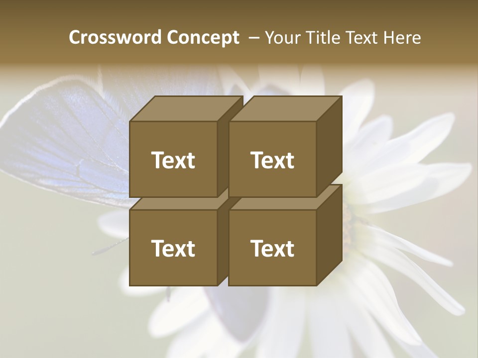 Closeup Botany Rain PowerPoint Template