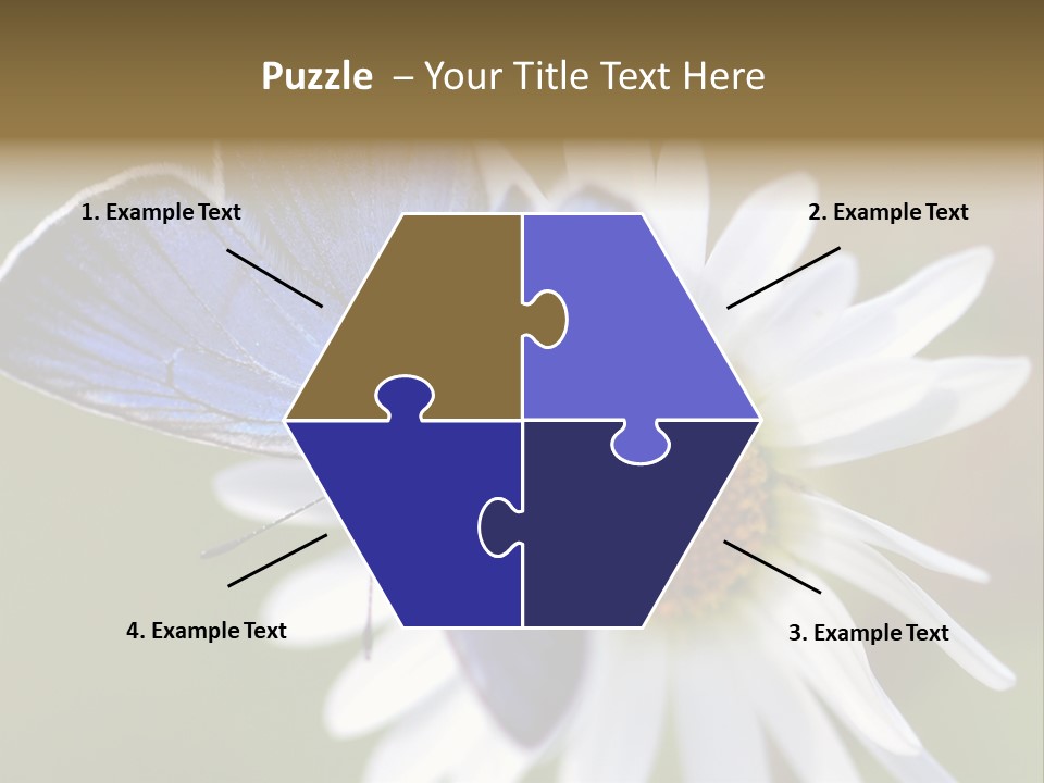 Closeup Botany Rain PowerPoint Template