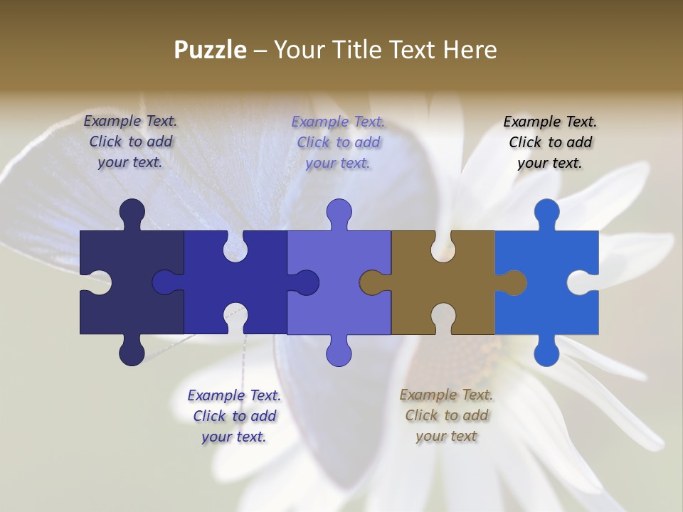 Closeup Botany Rain PowerPoint Template