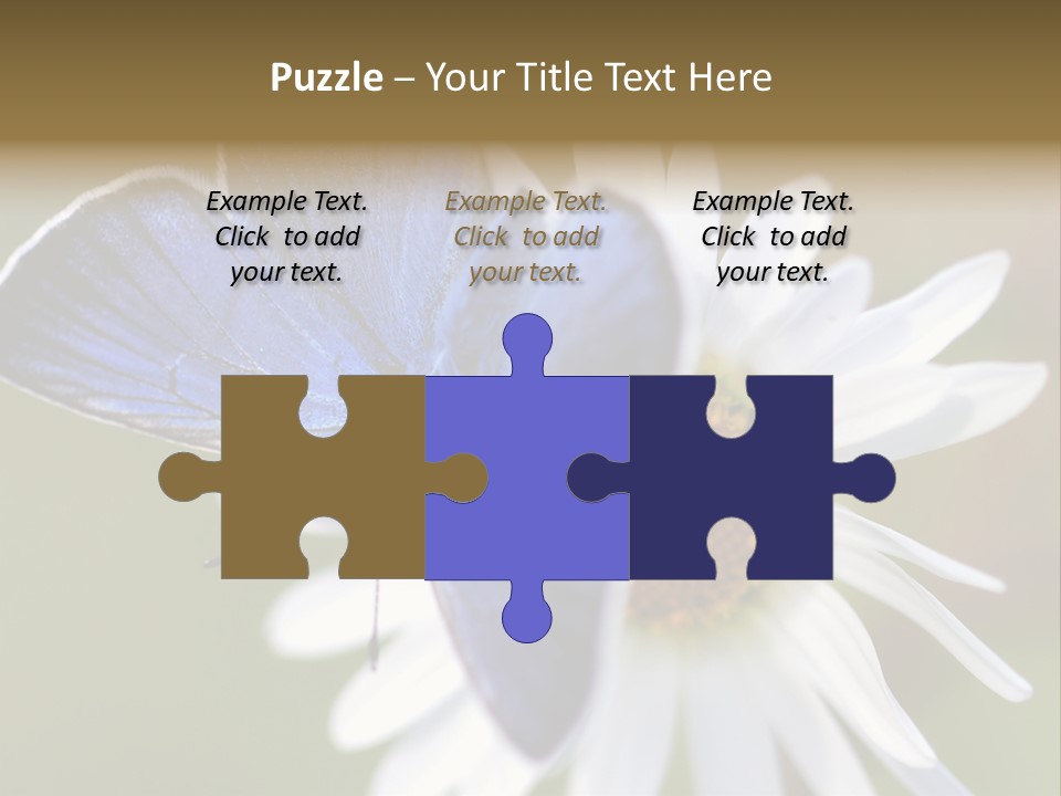 Closeup Botany Rain PowerPoint Template