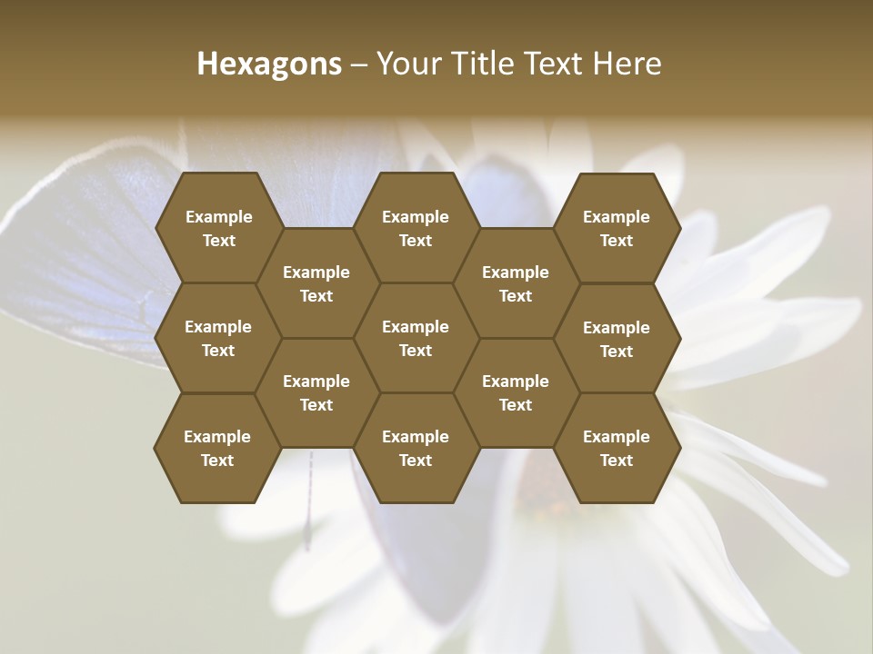 Closeup Botany Rain PowerPoint Template