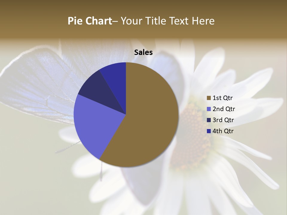 Closeup Botany Rain PowerPoint Template