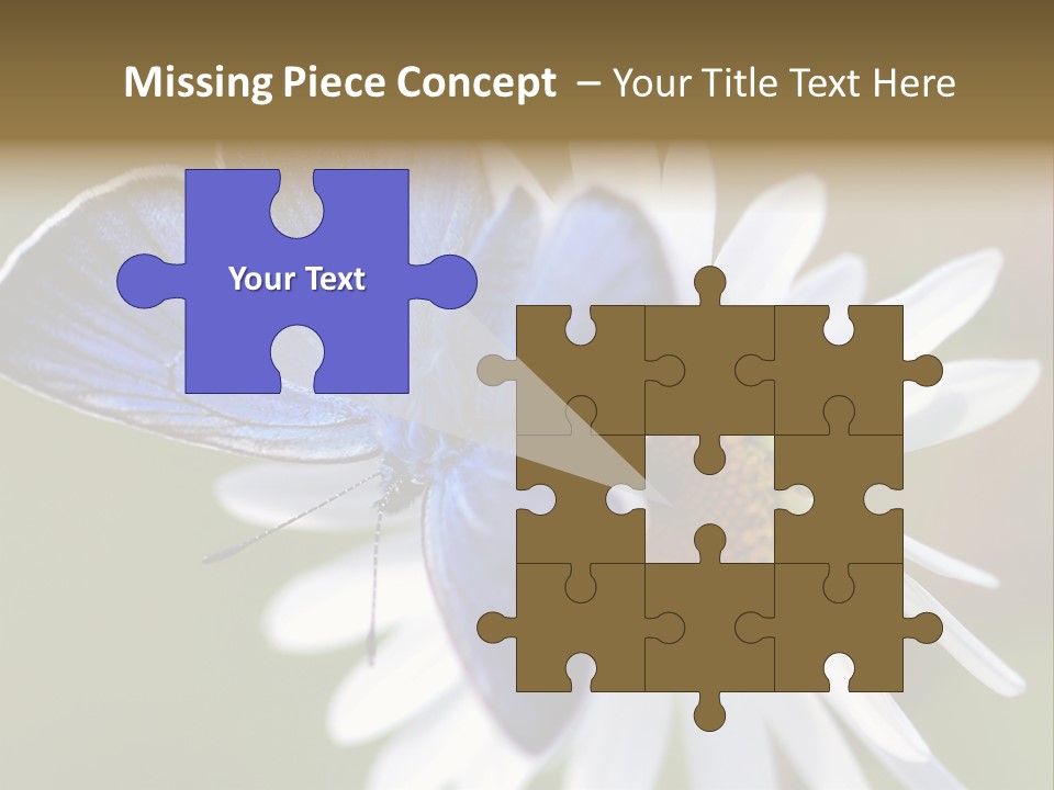 Closeup Botany Rain PowerPoint Template