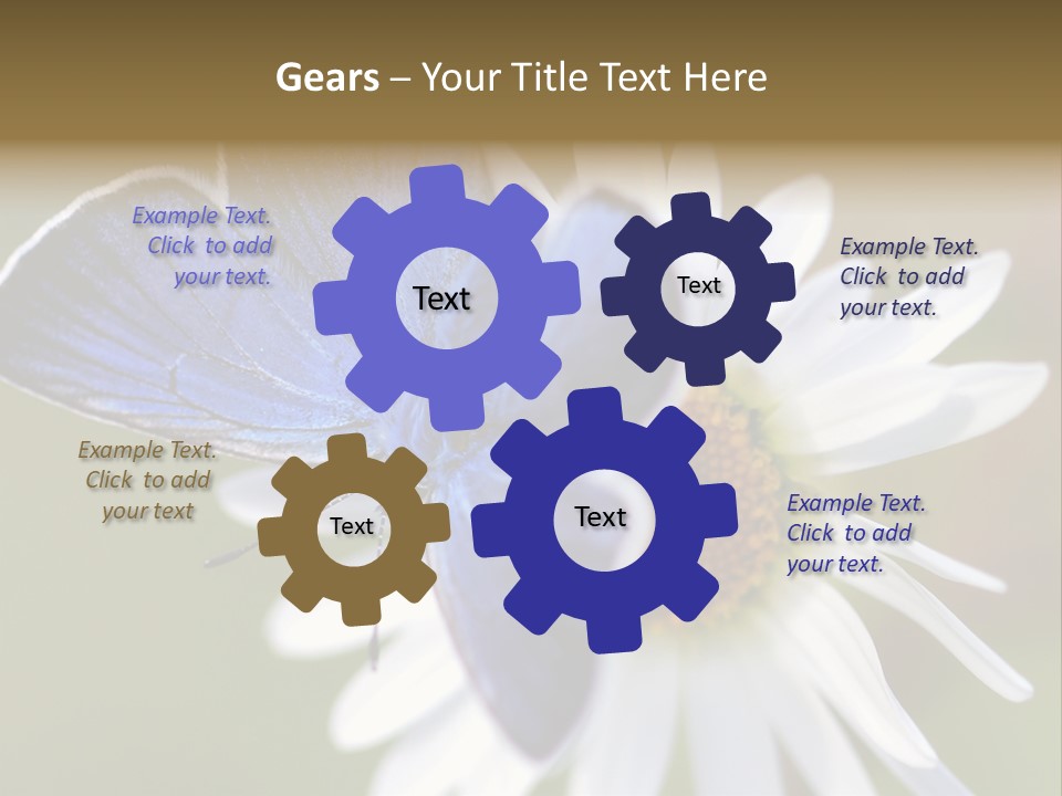 Closeup Botany Rain PowerPoint Template