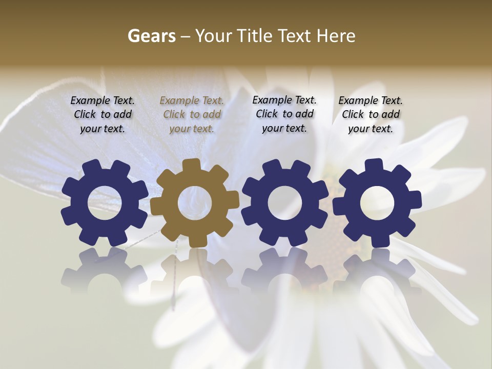 Closeup Botany Rain PowerPoint Template