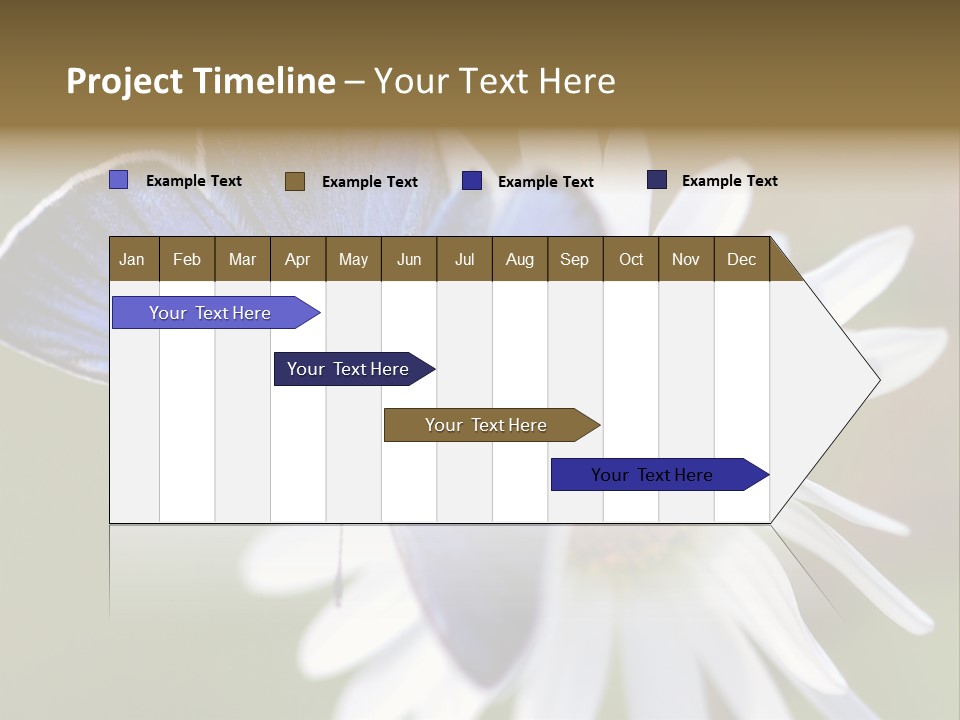 Closeup Botany Rain PowerPoint Template