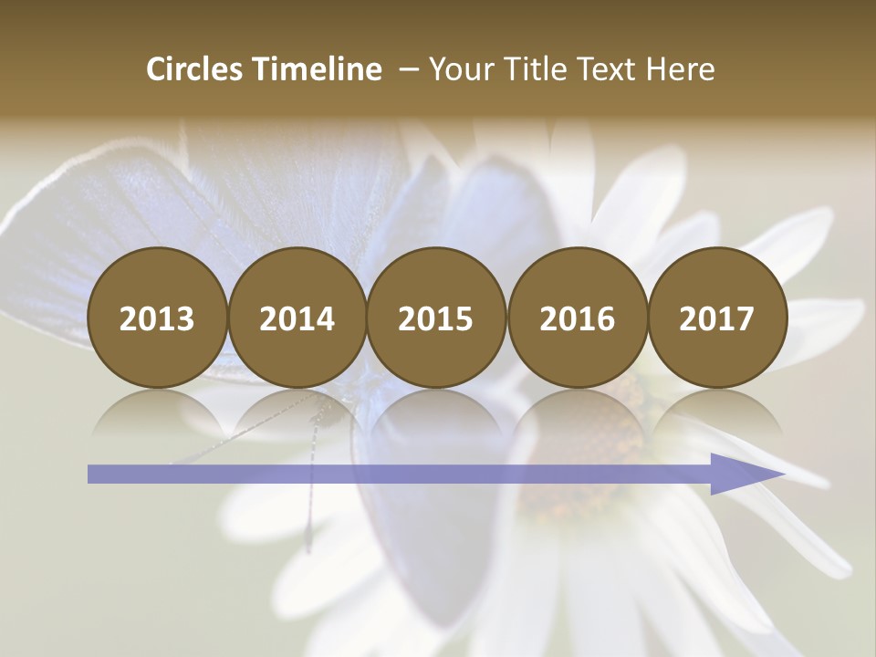 Closeup Botany Rain PowerPoint Template