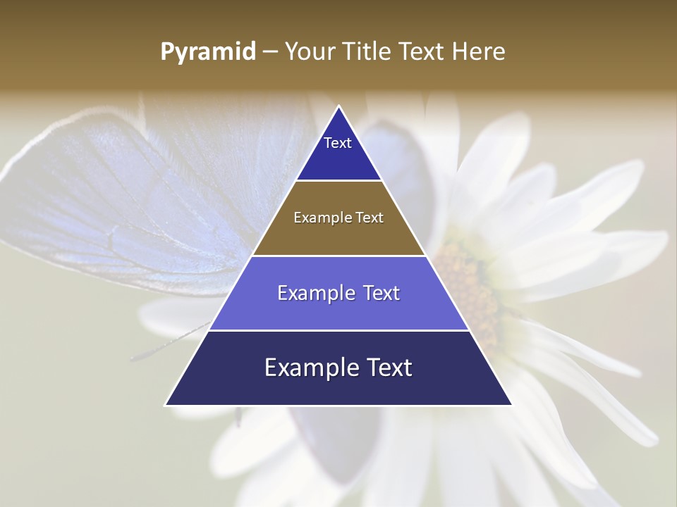 Closeup Botany Rain PowerPoint Template
