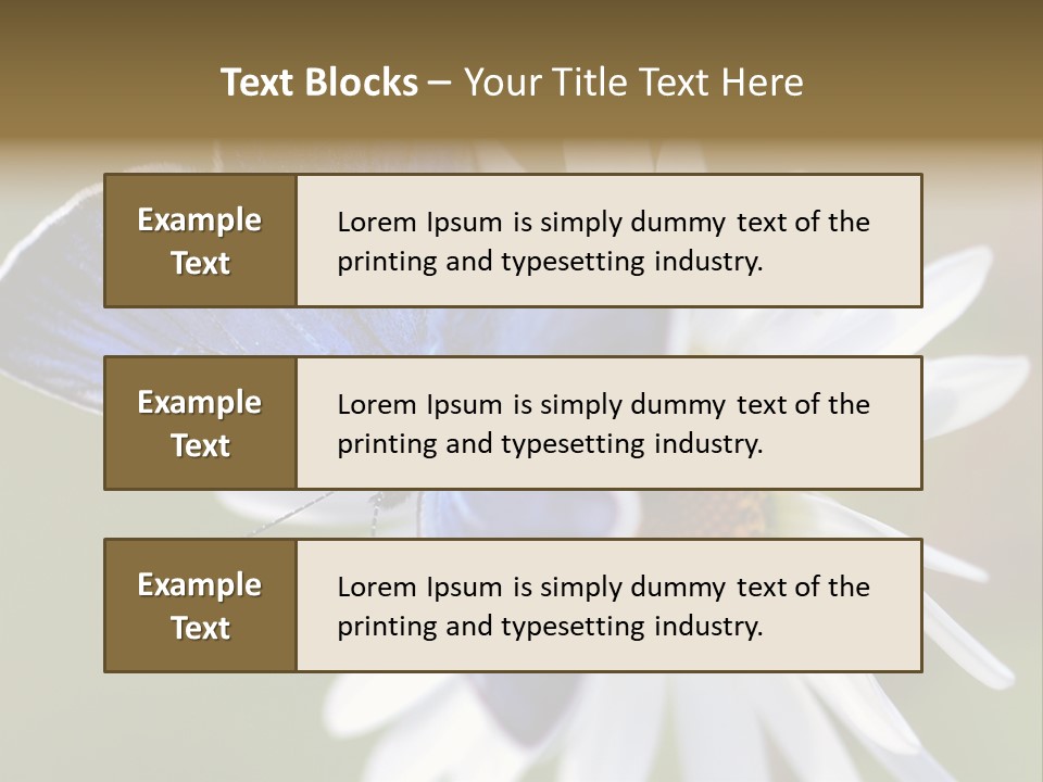 Closeup Botany Rain PowerPoint Template