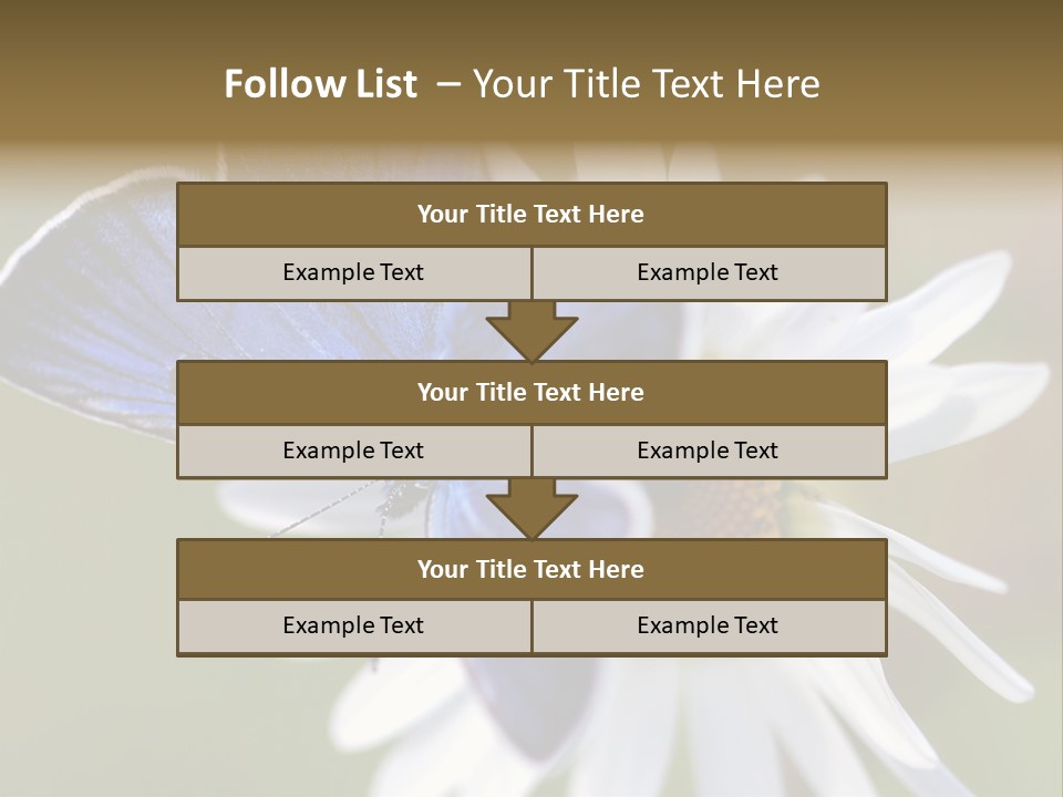 Closeup Botany Rain PowerPoint Template
