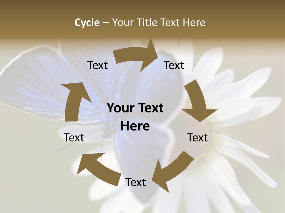 Closeup Botany Rain PowerPoint Template