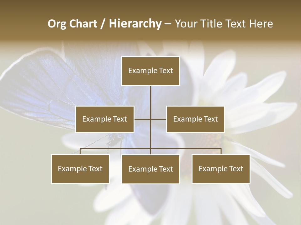 Closeup Botany Rain PowerPoint Template