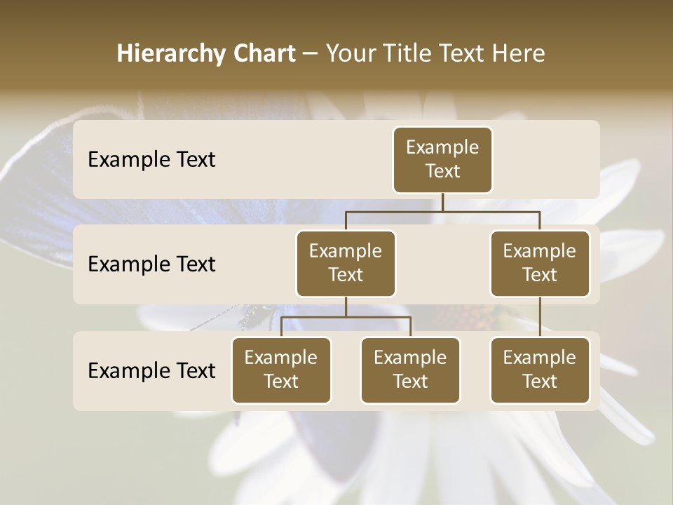 Closeup Botany Rain PowerPoint Template