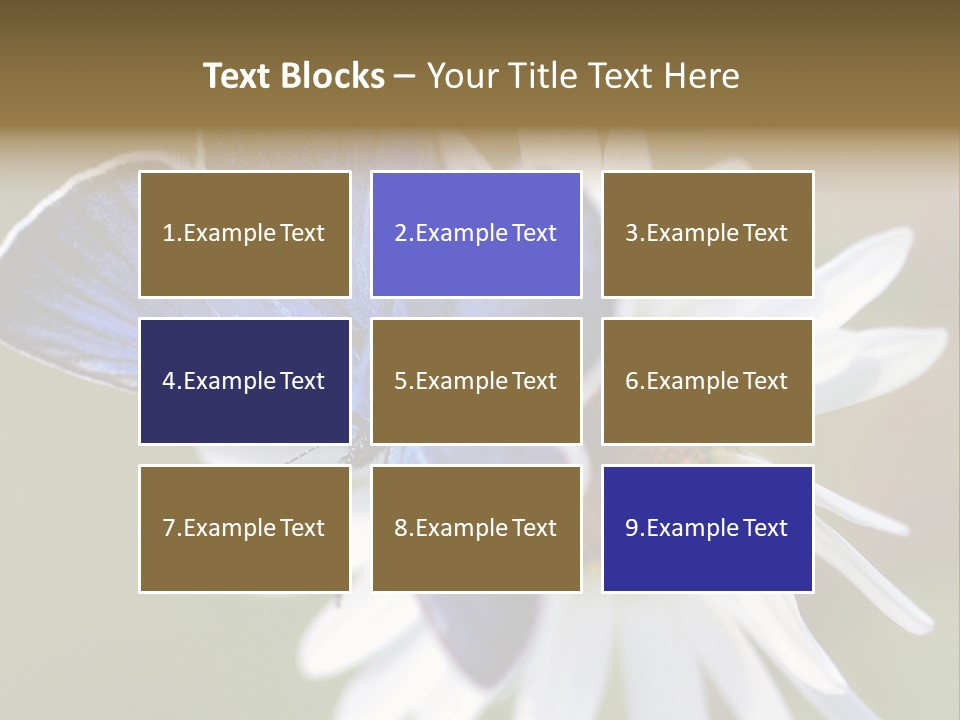 Closeup Botany Rain PowerPoint Template
